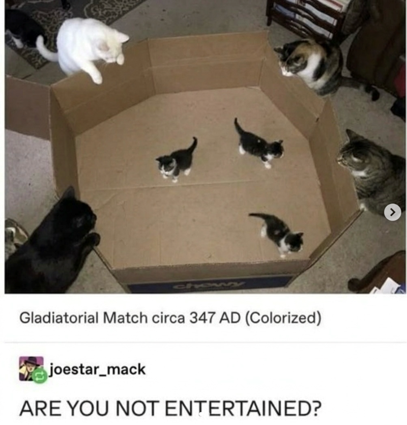Gladiatorial Match circa 347 AD (Colorized) joestar_mack ARE YOU NOT ENTERTAINED? >