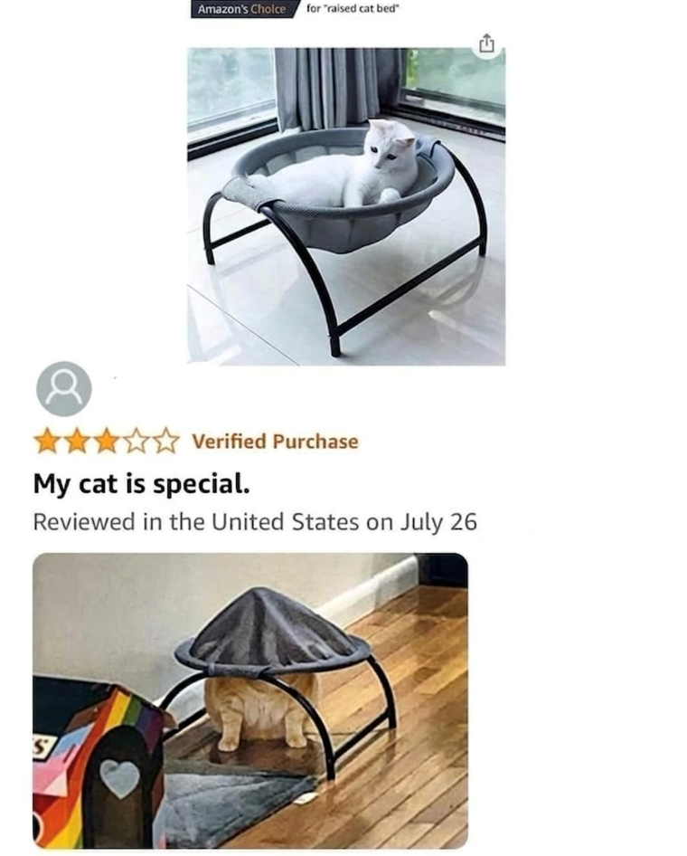 Amazon's Choice for "raised cat bed" Verified Purchase My cat is special. Reviewed in the United States on July 26 S