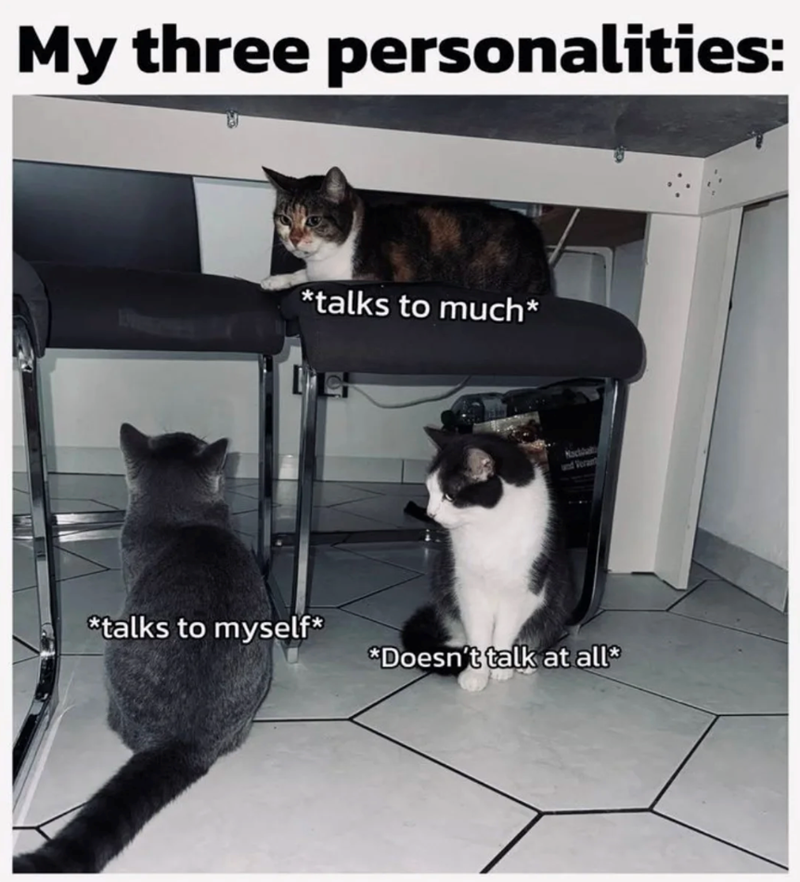 My three personalities: *talks to much* Nachba und Veran *talks to myself* *Doesn't talk at all*