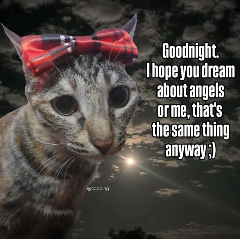 cocoing Goodnight. I hope you dream about angels or me, that's the same thing anyway;)