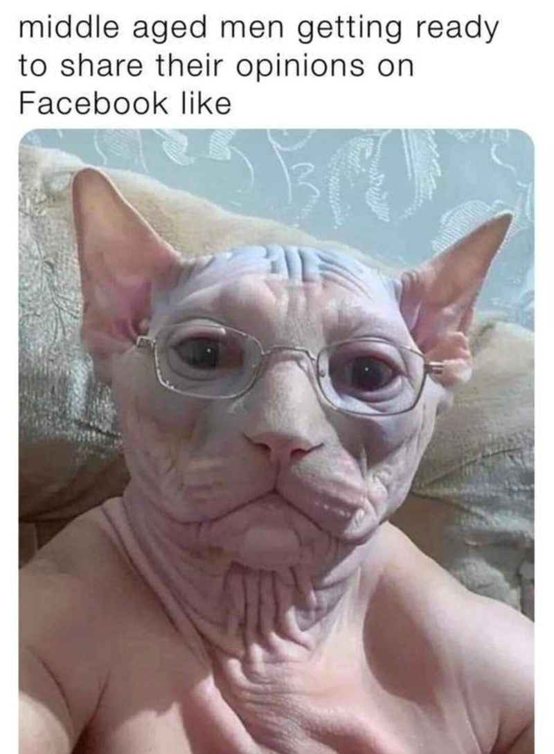 middle aged men getting ready to share their opinions on Facebook like