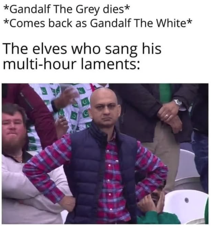 *Gandalf The Grey dies* *Comes back as Gandalf The White* The elves who sang his multi-hour laments: Hi