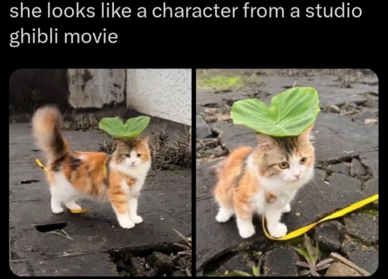 she looks like a character from a studio ghibli movie