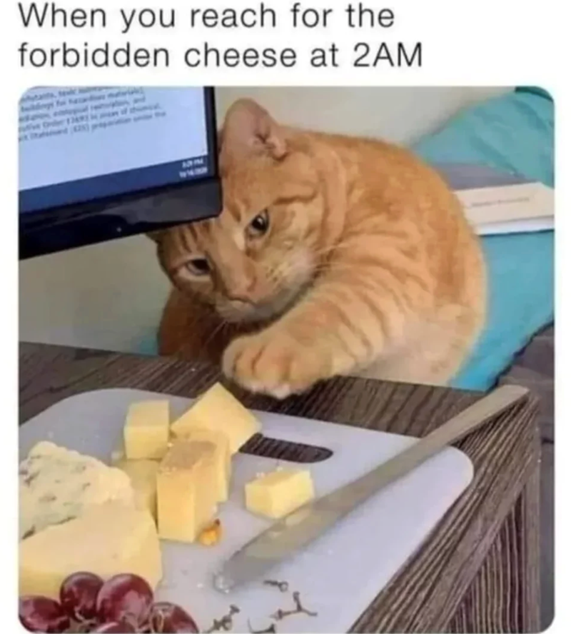 When you reach for the forbidden cheese at 2AM