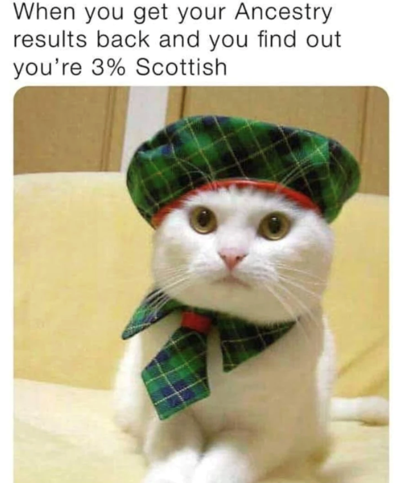 When you get your Ancestry results back and you find out you're 3% Scottish