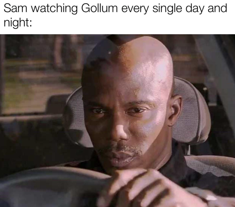 Sam watching Gollum every single day and night: