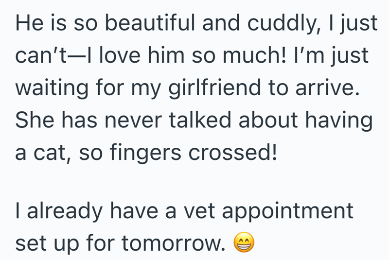 He is so beautiful and cuddly, I just can't I love him so much! I'm just waiting for my girlfriend to arrive. She has never talked about having a cat, so fingers crossed! I already have a vet appointment set up for tomorrow.