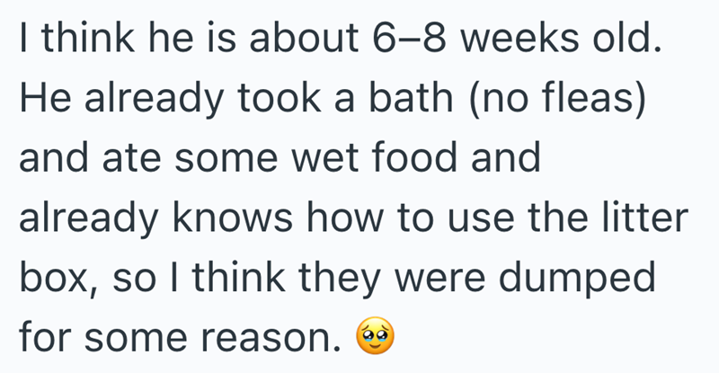 I think he is about 6-8 weeks old. He already took a bath (no fleas) and ate some wet food and already knows how to use the litter box, so I think they were dumped for some reason.