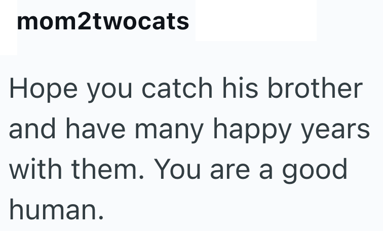 mom2twocats Hope you catch his brother and have many happy years. with them. You are a good human.