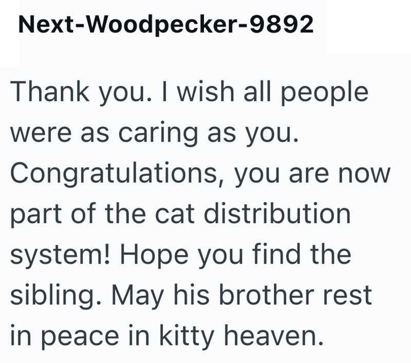 Next-Woodpecker-9892 Thank you. I wish all people were as caring as you. Congratulations, you are now part of the cat distribution system! Hope you find the sibling. May his brother rest in peace in kitty heaven.