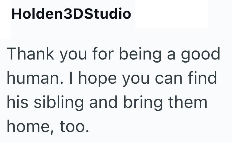 Holden3DStudio Thank you for being a good human. I hope you can find his sibling and bring them home, too.