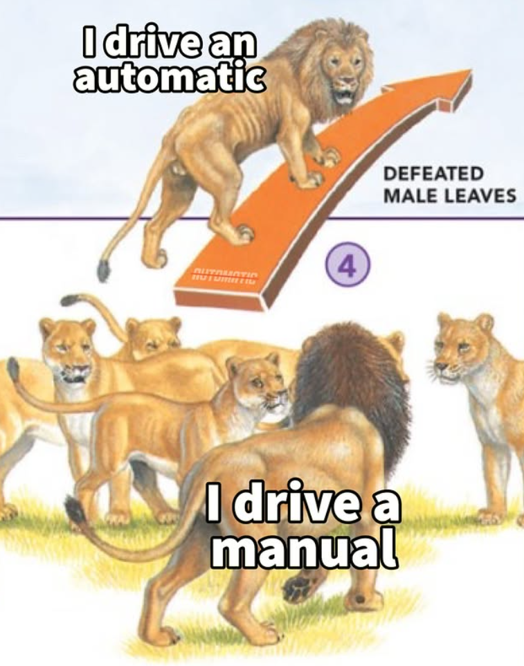 I drive an automatic AUTOMATIO 4 DEFEATED MALE LEAVES I drive a manual