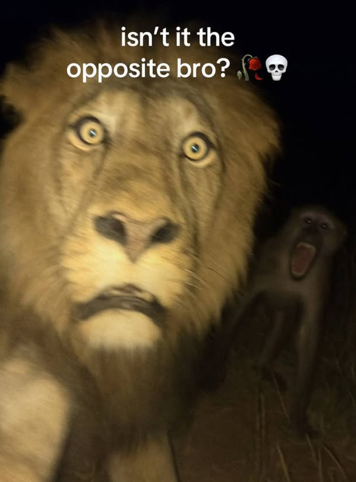 isn't it the opposite bro?.