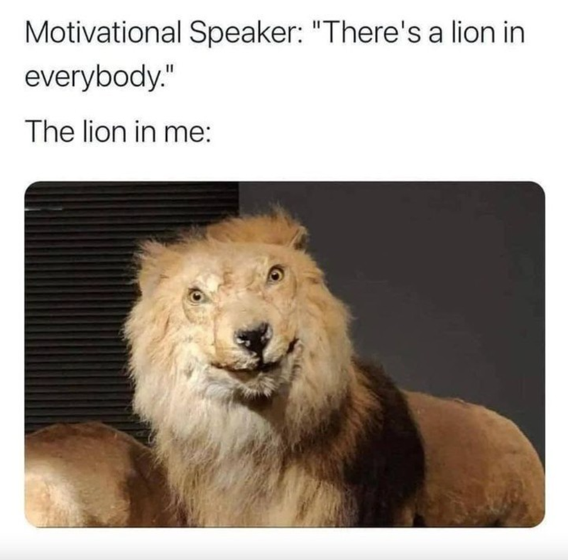 Motivational Speaker: "There's a lion in everybody." The lion in me: