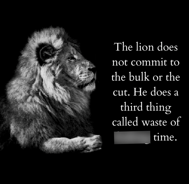 The lion does not commit to the bulk or the cut. He does a third thing called waste of time.