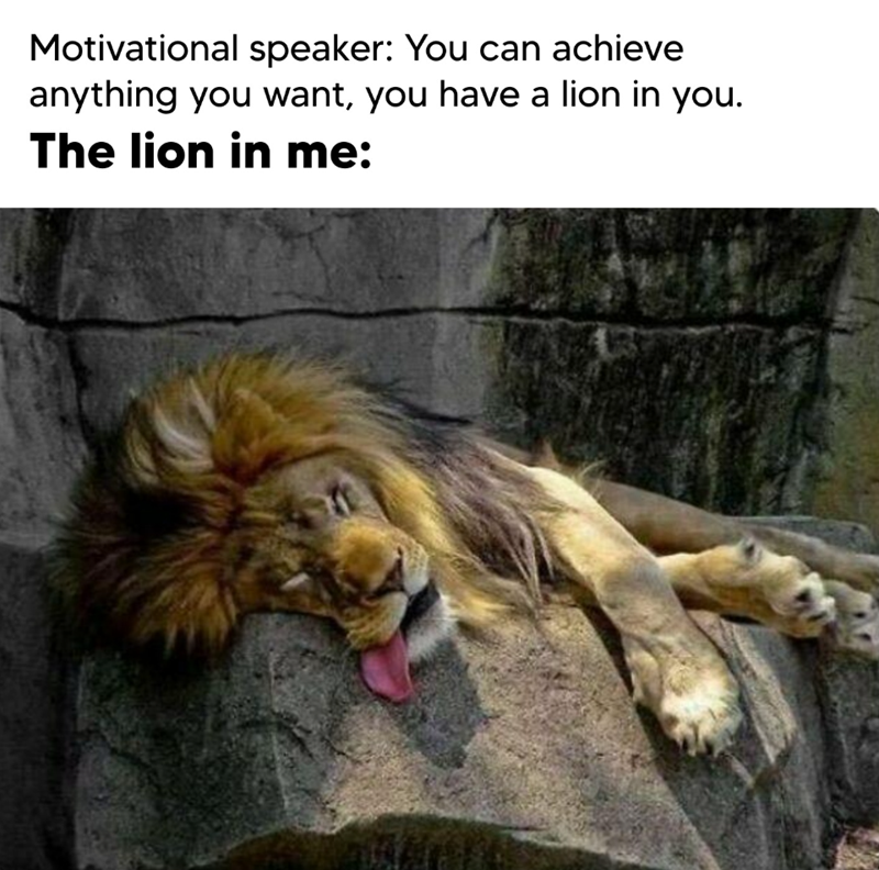 Motivational speaker: You can achieve anything you want, you have a lion in you. The lion in me: