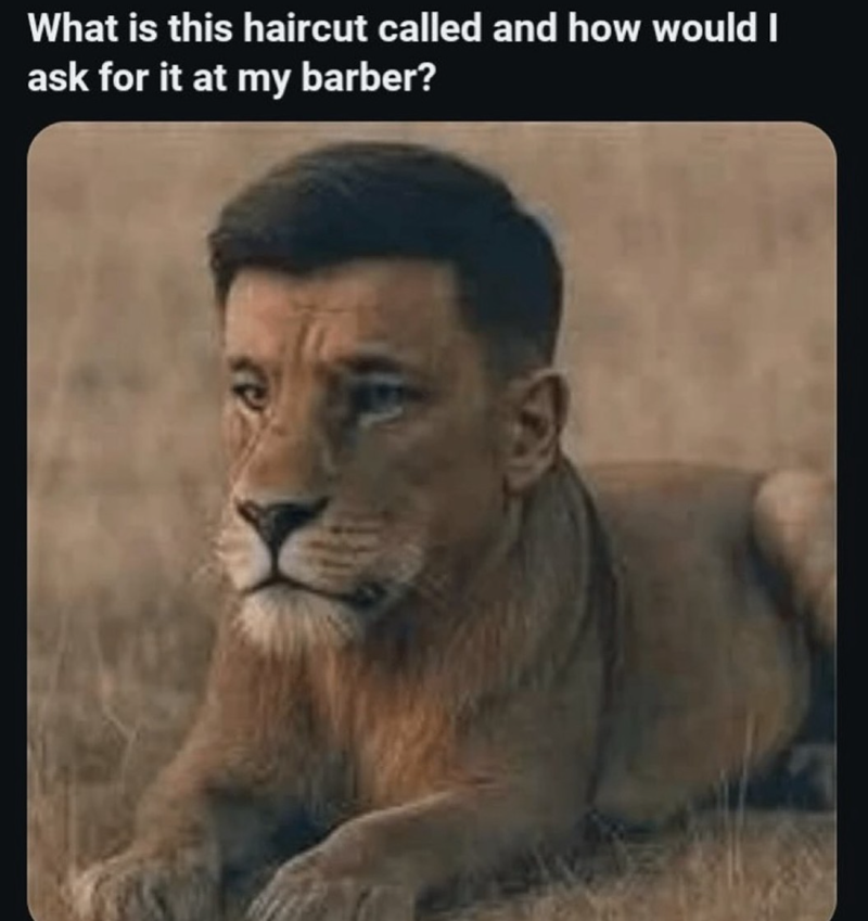 What is this haircut called and how would I ask for it at my barber? 29