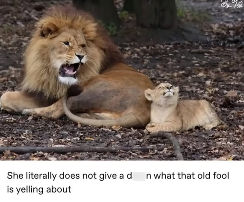 By Tazi She literally does not give a d n what that old fool is yelling about