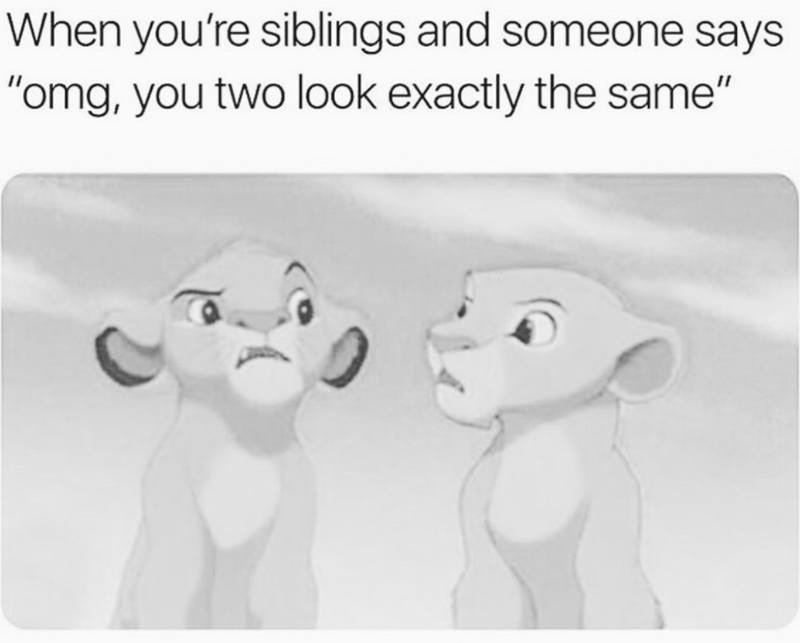 When you're siblings and someone says. "omg, you two look exactly the same"
