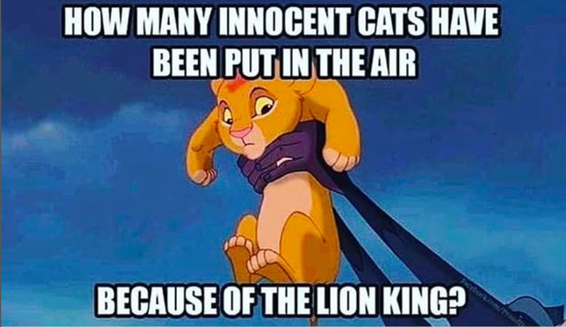 HOW MANY INNOCENT CATS HAVE BEEN PUT IN THE AIR BECAUSE OF THE LION KING? k.com/Proudly