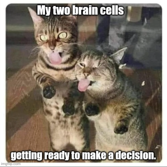 My two brain cells getting ready to make a decision. imgflip.com