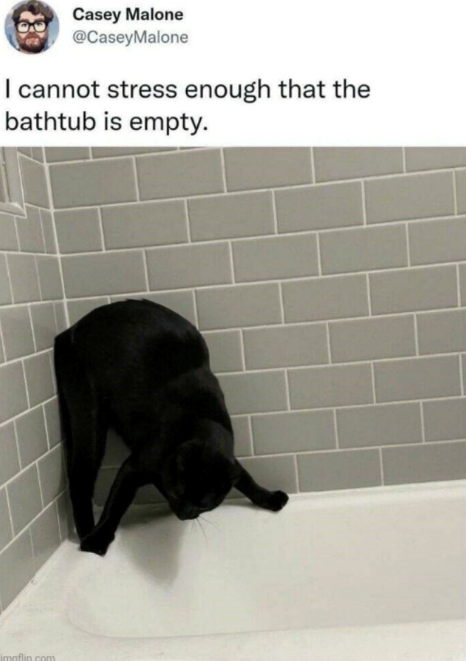 Casey Malone @CaseyMalone I cannot stress enough that the bathtub is empty. imgflip com