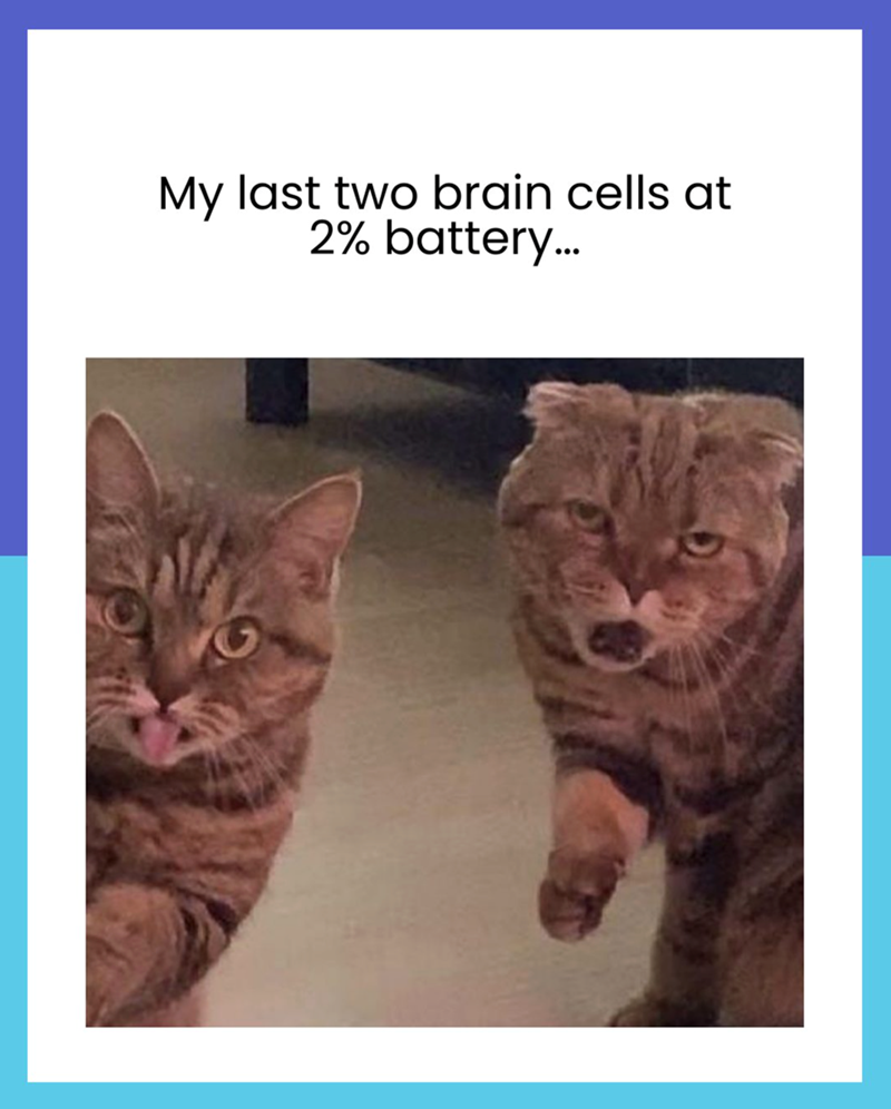 My last two brain cells at 2% battery...