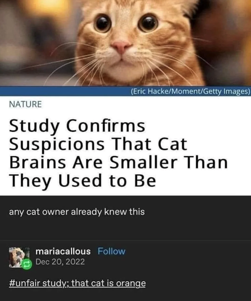 NATURE (Eric Hacke/Moment/Getty Images) Study Confirms Suspicions That Cat Brains Are Smaller Than They Used to Be any cat owner already knew this mariacallous Follow Dec 20, 2022 #unfair study; that cat is orange