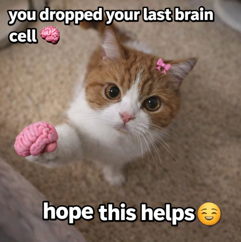 you dropped your last brain cell hope this helps