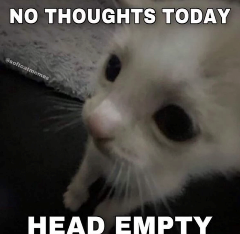 NO THOUGHTS TODAY @softcatmemes HEAD EMPTY