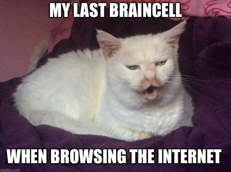 MY LAST BRAINCELL WHEN BROWSING THE INTERNET imgflip.com