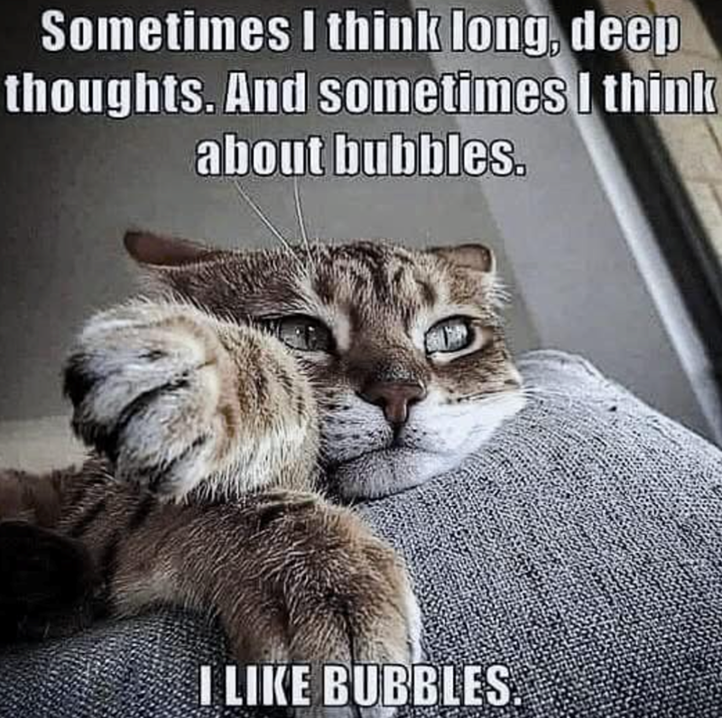 Sometimes I think long, deep thoughts. And sometimes I think about bubbles. I LIKE BUBBLES.