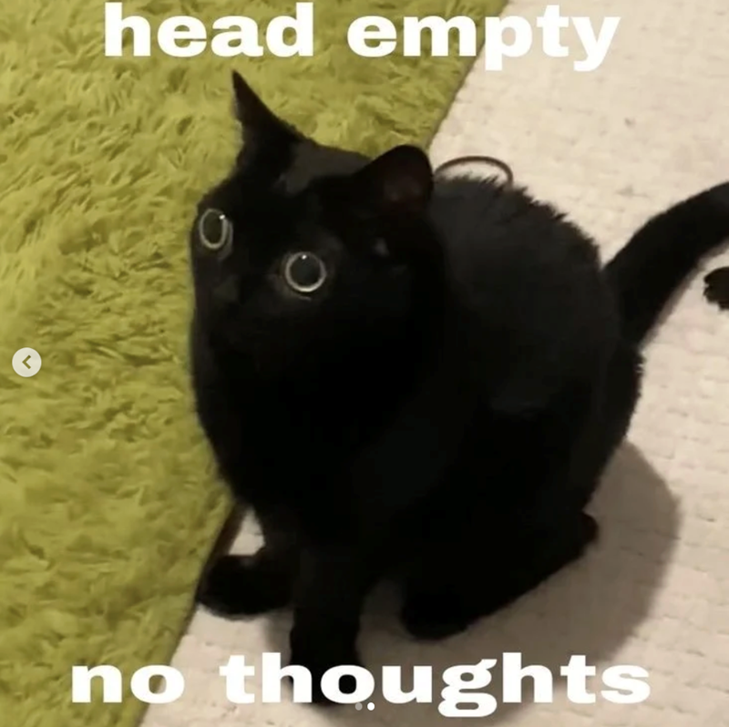 < head empty no thoughts