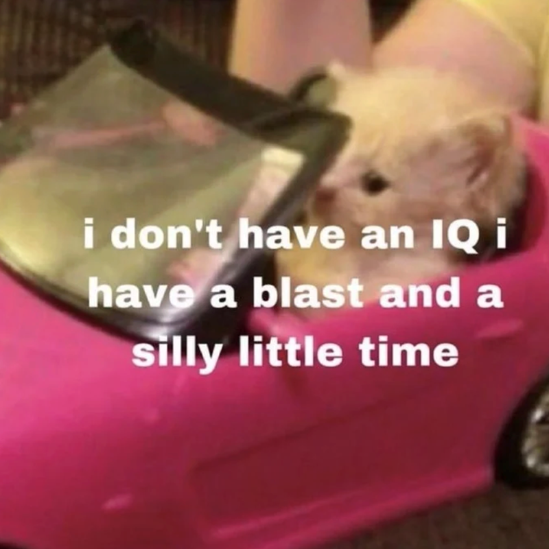 i don't have an IQ i have a blast and a silly little time