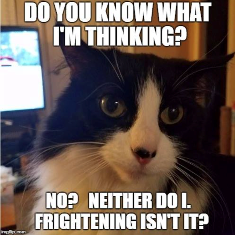 imgflip.com DO YOU KNOW WHAT I'M THINKING? NO? NEITHER DO I. FRIGHTENING ISN'T IT?