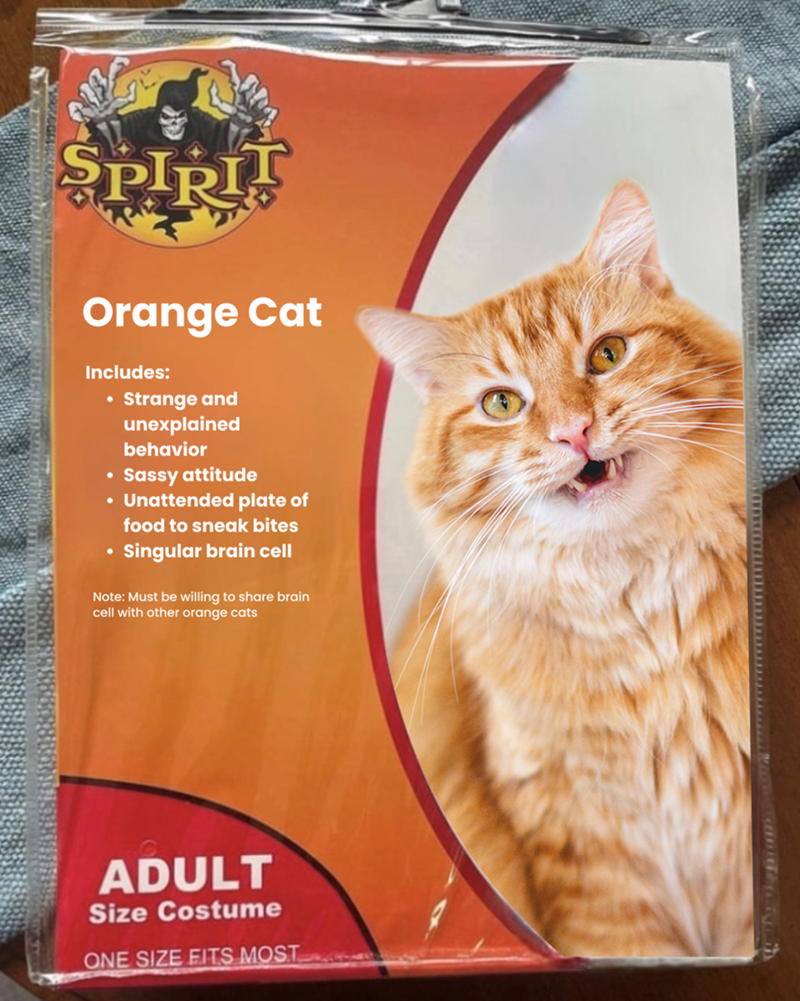 SPIRIT Orange Cat Includes: • . Strange and unexplained behavior Sassy attitude Unattended plate of food to sneak bites Singular brain cell Note: Must be willing to share brain cell with other orange cats ADULT Size Costume ONE SIZE FITS MOST