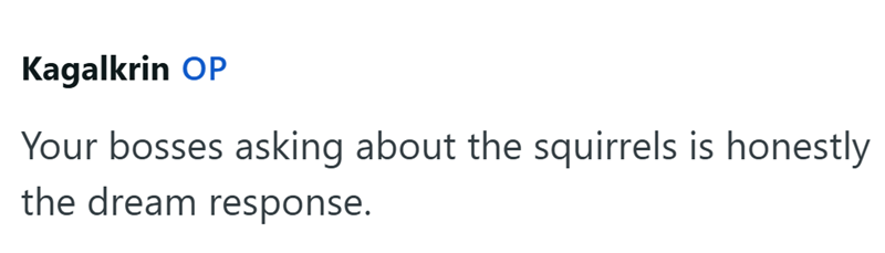 Kagalkrin OP Your bosses asking about the squirrels is honestly the dream response.