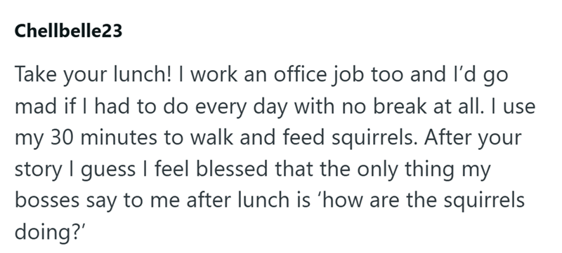 Chellbelle23 Take your lunch! I work an office job too and I'd go mad if I had to do every day with no break at all. I use my 30 minutes to walk and feed squirrels. After your story I guess I feel blessed that the only thing my bosses say to me after lunch is 'how are the squirrels doing?'