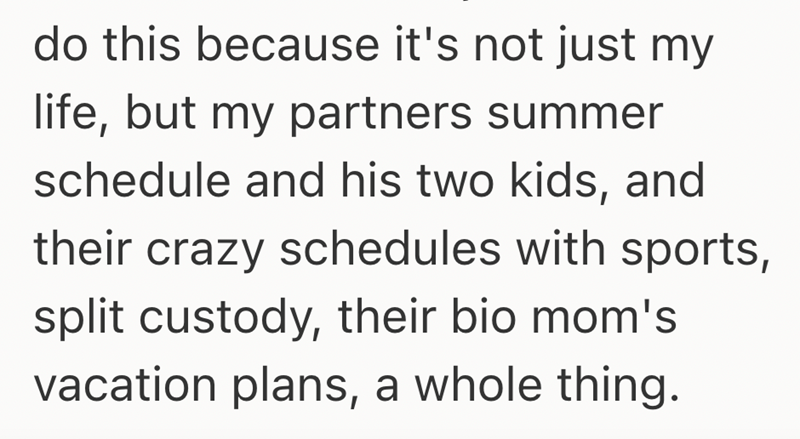 do this because it's not just my life, but my partners summer schedule and his two kids, and their crazy schedules with sports, split custody, their bio mom's vacation plans, a whole thing.