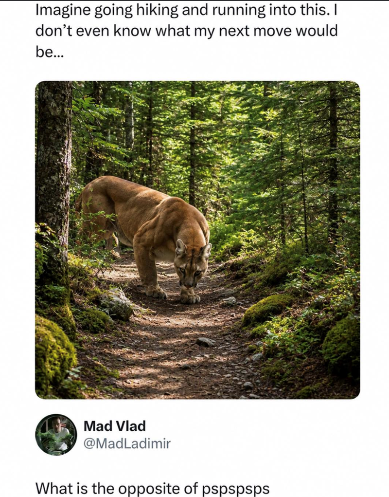 Imagine going hiking and running into this. I don't even know what my next move would be... Mad Vlad @MadLadimir What is the opposite of pspspsps