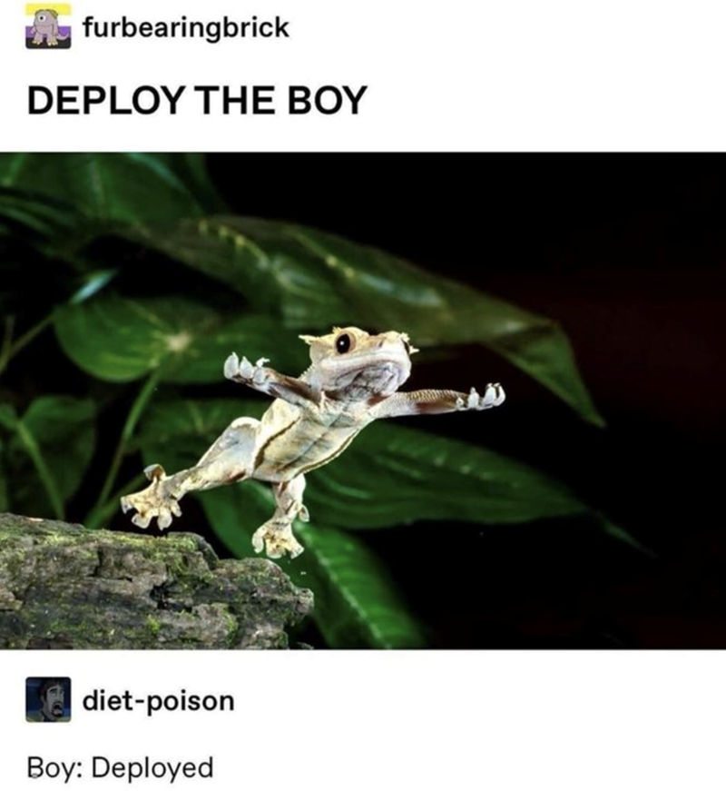 furbearingbrick DEPLOY THE BOY diet-poison Boy: Deployed