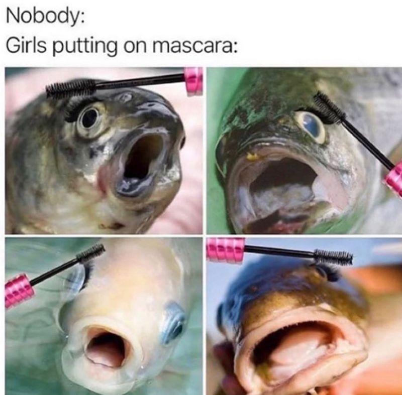 Nobody: Girls putting on mascara: