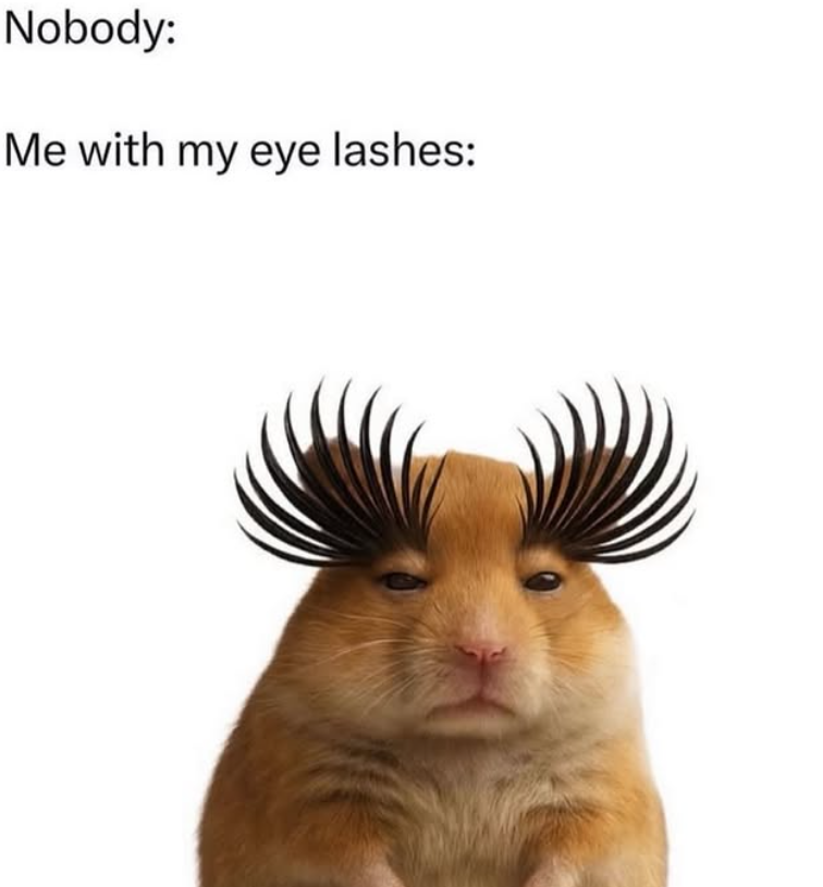 Nobody: Me with my eye lashes: