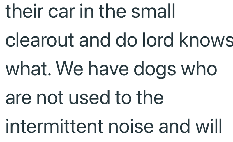 their car in the small clearout and do lord knows what. We have dogs who are not used to the intermittent noise and will