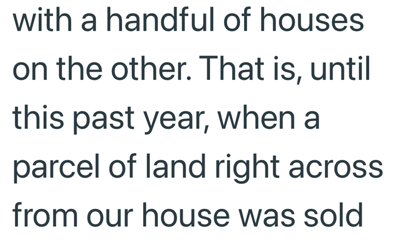 with a handful of houses on the other. That is, until this past year, when a parcel of land right across from our house was sold