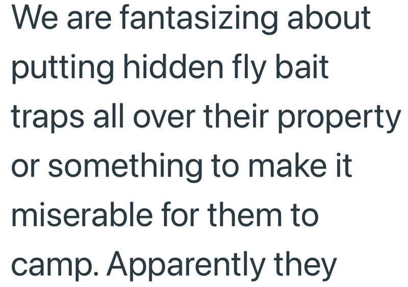 We are fantasizing about putting hidden fly bait traps all over their property or something to make it miserable for them to camp. Apparently they