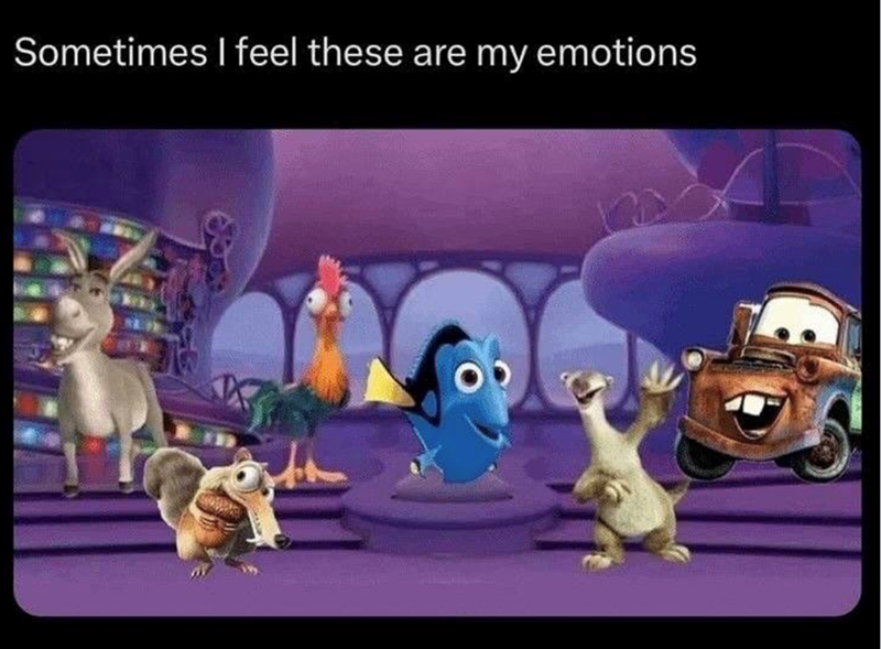 Sometimes I feel these are my emotions