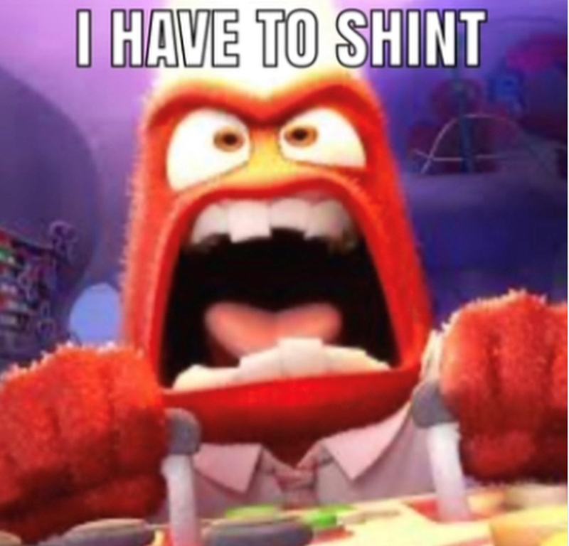 I HAVE TO SHINT