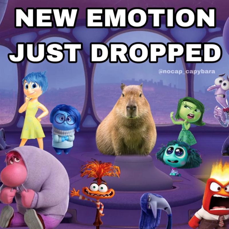 NEW EMOTION JUST DROPPED @nocap_capybara