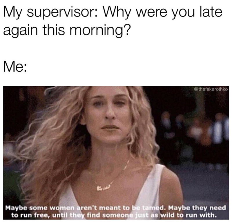 My supervisor: Why were you late again this morning? Me: @thefakerothko Maybe some women aren't meant to be tamed. Maybe they need to run free, until they find someone just as wild to run with.